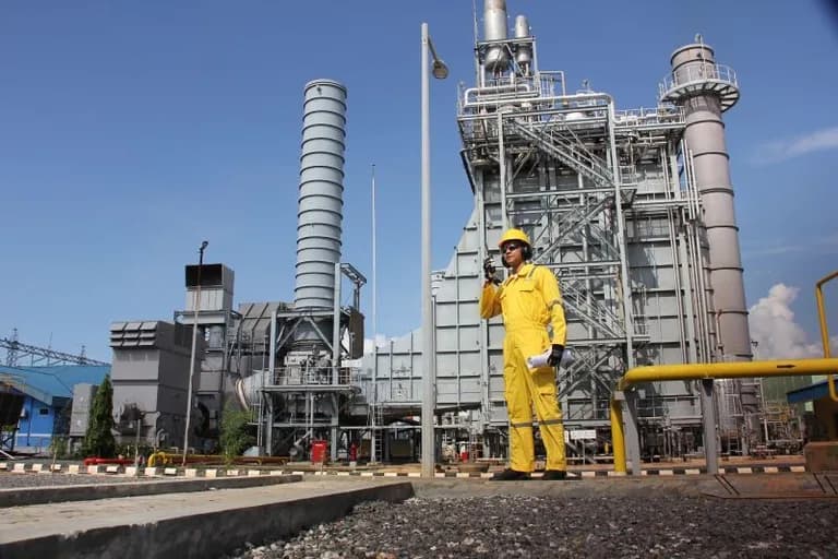 PLN Ungkap Penyebab Batam Blackout: Karena Hewan Liar!