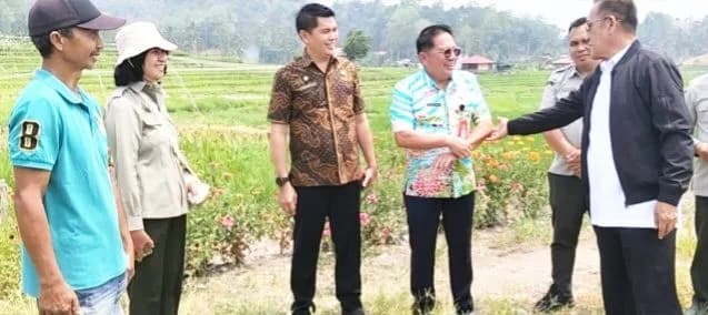 Pemkot Tomohon : Sistem PM-AAS  efektif pantau penyaluran benih