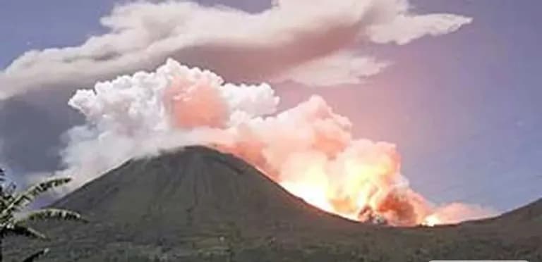 Hampir Setengah Hutan Gunung Lokon Hangus, Disebut Dibakar ODGJ