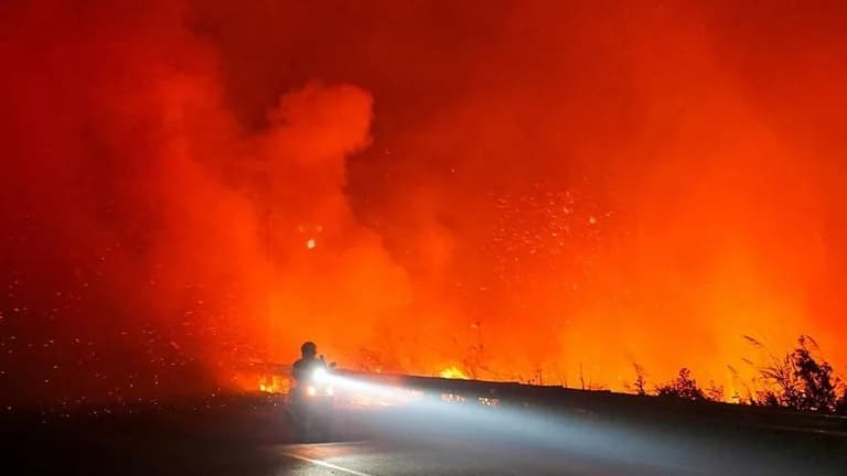 Singapura Ancam Perusahaan Penyebab Karhutla di Indonesia