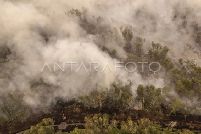 Tegas! Bareskrim Polri tetapkan sembilan tersangka kasus karhutla korporasi