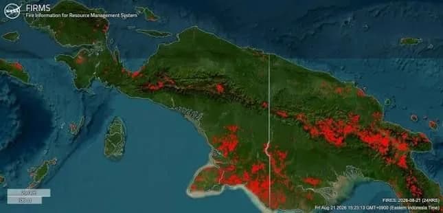 Kabut asap karhutla ganggu operasional 16 bandara di Papua, Kemenhub perketat pengawasan