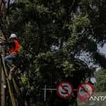 Penertiban kabel udara di Kota Bandung dihentikan sementara selama 14 hari, terhitung sejak 12 hingga 26 Oktober 2026 dan mulai 27 Oktober mendatang, Pemkot Bandung melanjutkan penataan. (Courtesy: Antara)