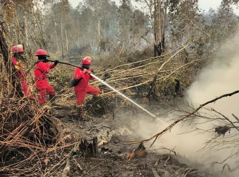 Titik panas melonjak dua kali lipat, Kalteng jadi pusat bencana Karhutla