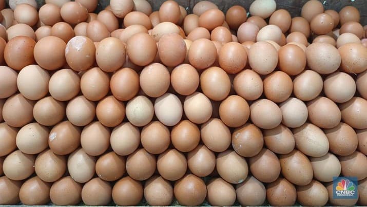 Telur ayam