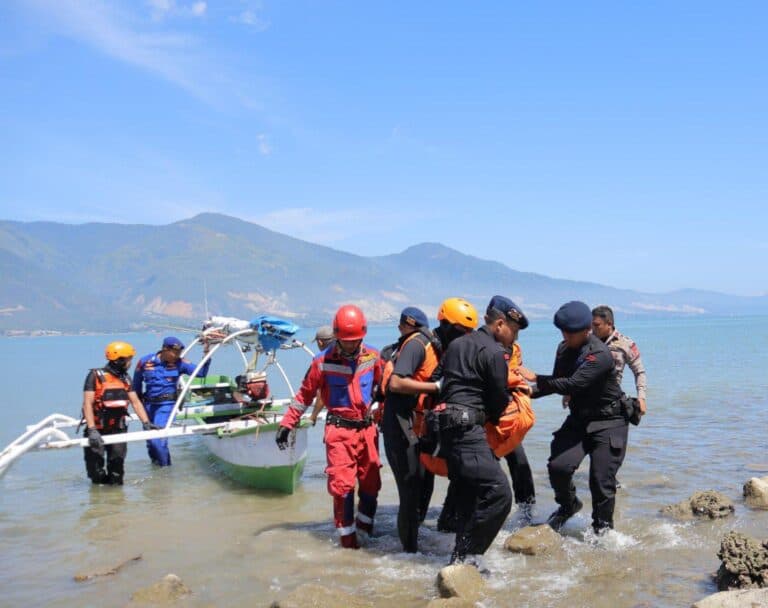 Palu buaya