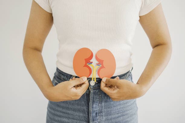 istockphoto-ilustrasi-ginjal
