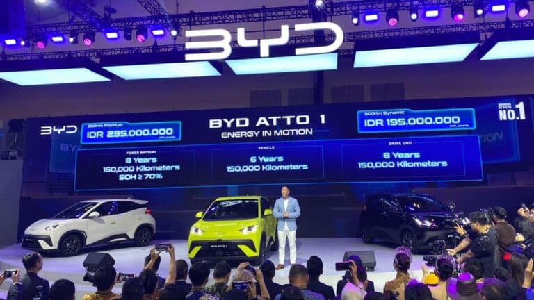 Molis - BYD.jpg