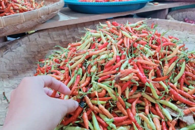 Cabai rawit di pasar tradisional Gorontalo Utara