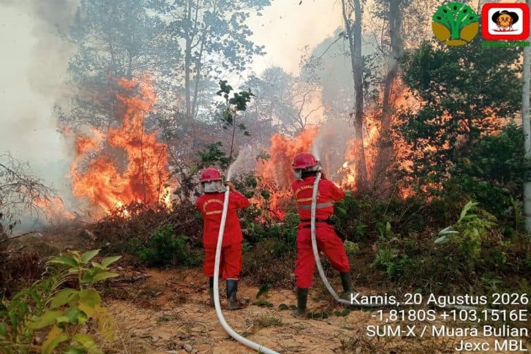 Karhutla Kalimantan