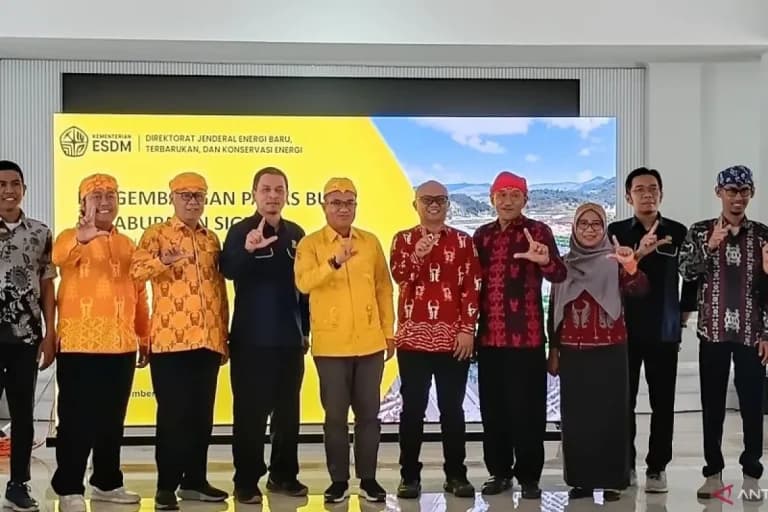 Proyek PLTP Bora Pulu