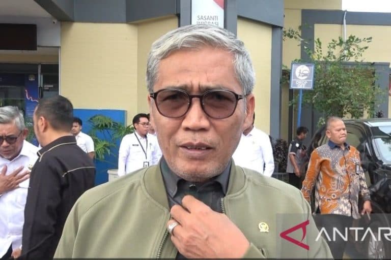 Mafirion DPR RI
