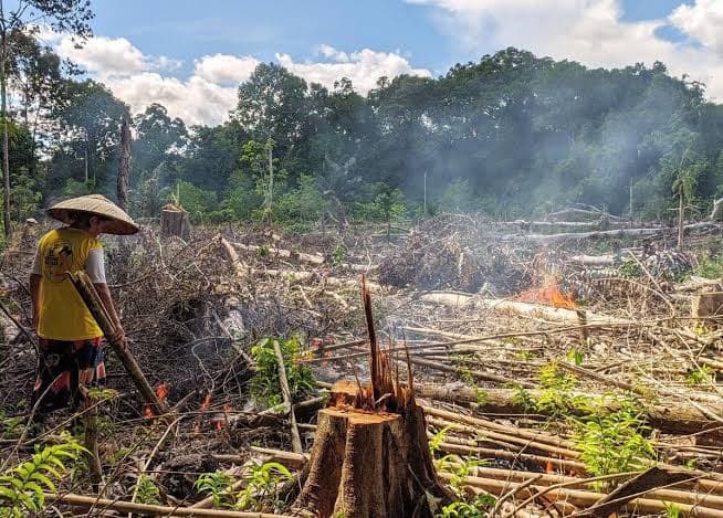 Masyarakat Dayak bakar lahan