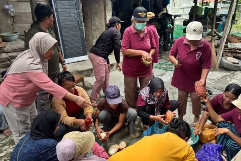 Petani olah kakao