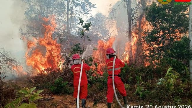 petugas-gabungan-berupaya-memadamkan-api-di-kecamatan-muara-bulian-kabupaten-batang-hari-provinsi-jambi-2182026-dok-bpbd-kabup-1787355340879_169