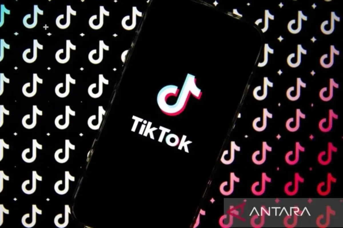 TikTok nonaktifkan 9 juta akun anak, Meta 184 ribu akun: Penuhi PP Tunas