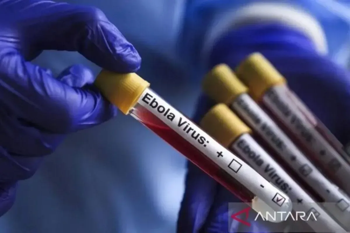 Ebola di Kongo tembus 9.144 kasus, 4.410 kasus kematian