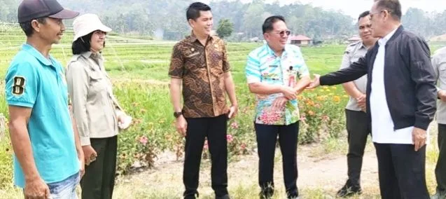 Pemkot Tomohon : Sistem PM-AAS  efektif pantau penyaluran benih
