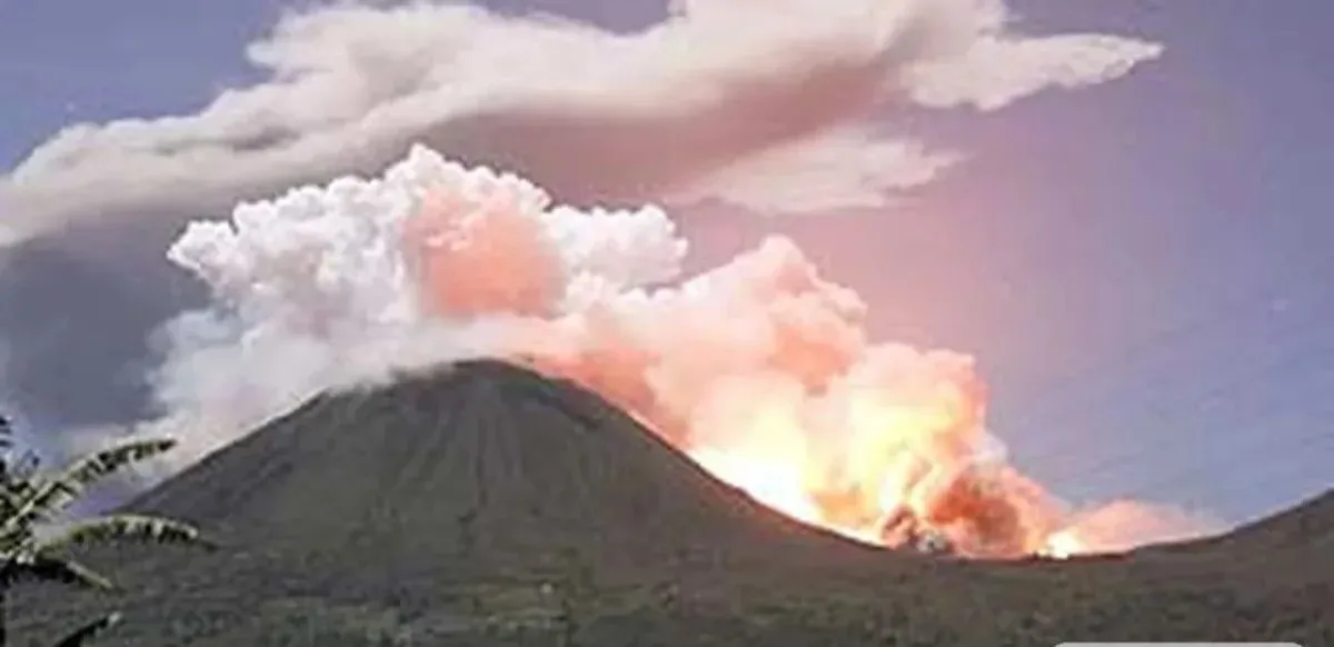 Hampir Setengah Hutan Gunung Lokon Hangus, Disebut Dibakar ODGJ