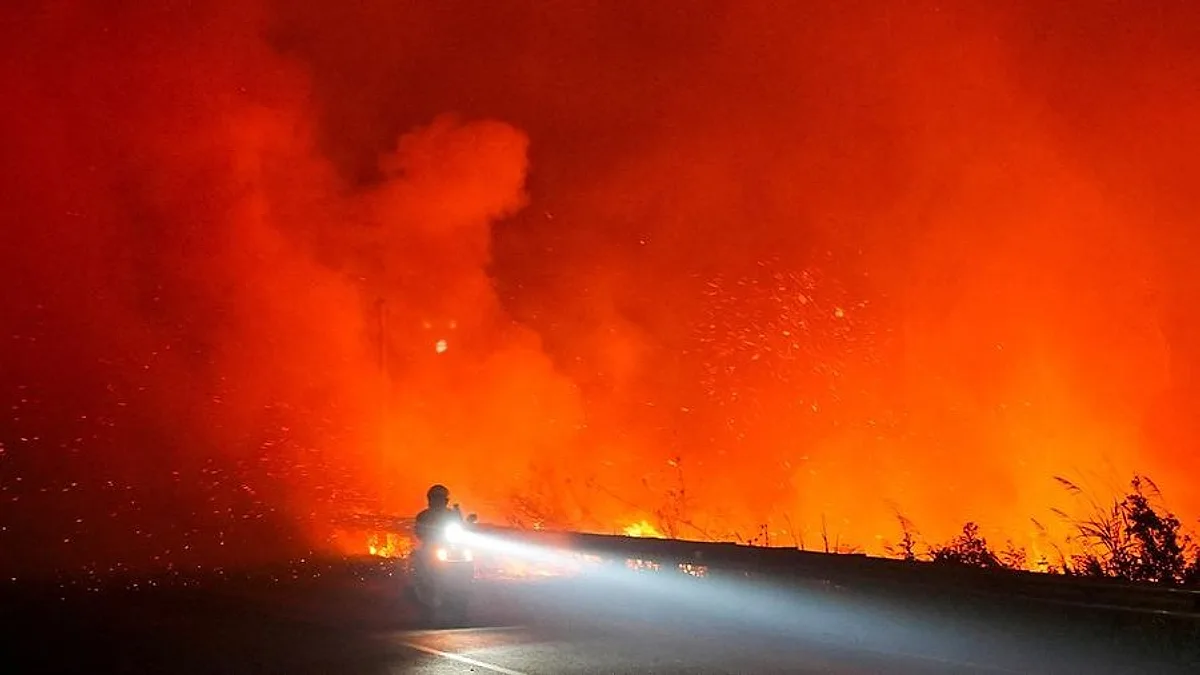 Singapura Ancam Perusahaan Penyebab Karhutla di Indonesia
