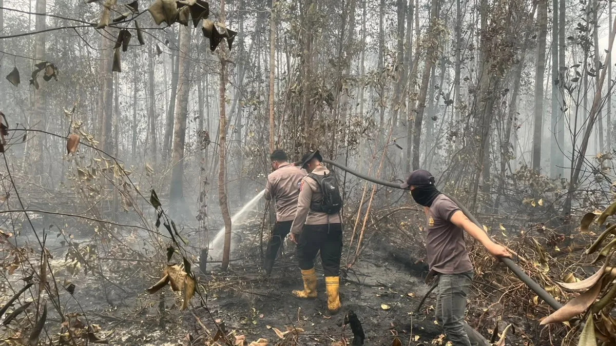 Karhutla di Barito Selatan memburuk: 383 hotspot terpantau, ISPU level berbahaya