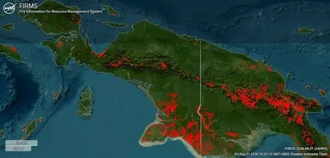 Kabut asap karhutla ganggu operasional 16 bandara di Papua, Kemenhub perketat pengawasan