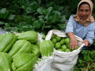 Ekonomi terkontraksi (minus) 2,07 persen, PDB per kapita RI turun jadi Rp56,9 juta, Sulawesi-Maluku-Papua selamat
