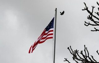 Ups !!! Covid-19 'ngamuk' lagi di AS, kasus baru tembus 100 ribu sehari, Florida-Texas-California penyumbang terbesar