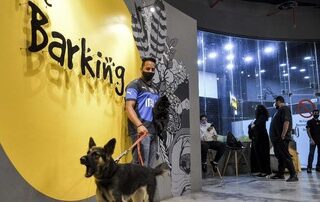 Selain pantai bikini, sudah ada juga kafe anjing di Arab Saudi dan buka cabang di Riyadh