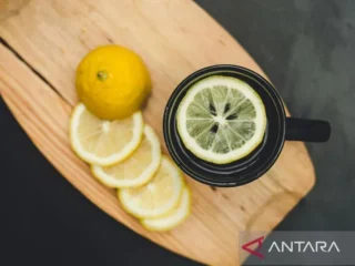 Untuk meningkatkan kesehatan usus, minum air hangat dengan "infused water"