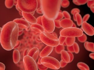 Akibat transfusi darah, puluhan ribu orang tertular HIV dan Hepatitis di Inggris