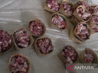 Ahli gizi: Daging kambing tidak tingkatkan risiko hipertensi dan kolesterol