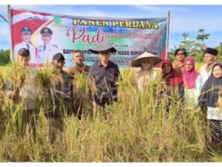 Menjaga ketahanan pangan di perbatasan Natuna