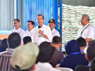 FAO akan berikan penghargaan pangan kepada Presiden Jokowi