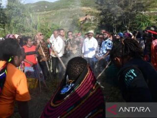 Bakar Batu di Papua jadi warisan nenek moyang simbol perdamaian