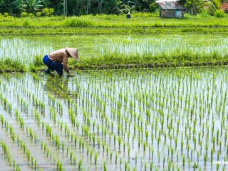 Angka kemiskinan dan ketimpangan Indonesia menunjukkan penurunan