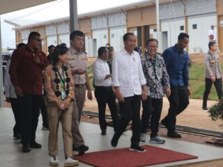 Indonesia Karantina 1,9 Juta Bibit Tebu dari Australia
