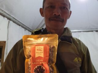 Petani Banjarnegara kembangkan cascara, teh dari kulit buah kopi