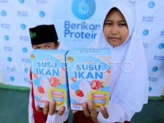 Sari Ikan, Solusi Atasi Anak yang tidak Suka Makan Daging Ikan