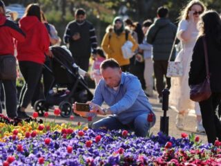 Floriade 2024, Kesempatan Bagus Melihat Berbagai Bunga Eksotis dan Bunga Asli Australia yang Sedang Mekar