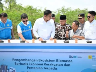 Kembangkan biomassa, Kementan gandeng PLN luncurkan model pertanian terpadu