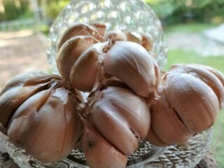 Bawang Putih Bisa Redakan dan Atasi Jerawat, tapi Harus Hati-hati karena Masih Kontroversi