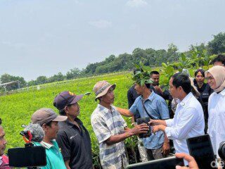 Diminta Presiden, Raja Juli: "Kemenhut siap sampaikan Renstra 100 hari kerja"