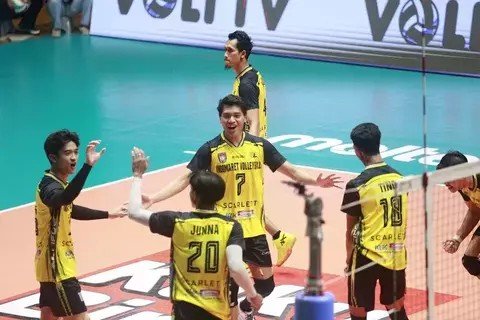 Para pemain voli Indomaret Sidoarjo selebrasi setelah memenangi pertandingan final four Livoli 2024 melawan TNI AU di Gresik, Rabu 20 November 2024. (./Istimewa)