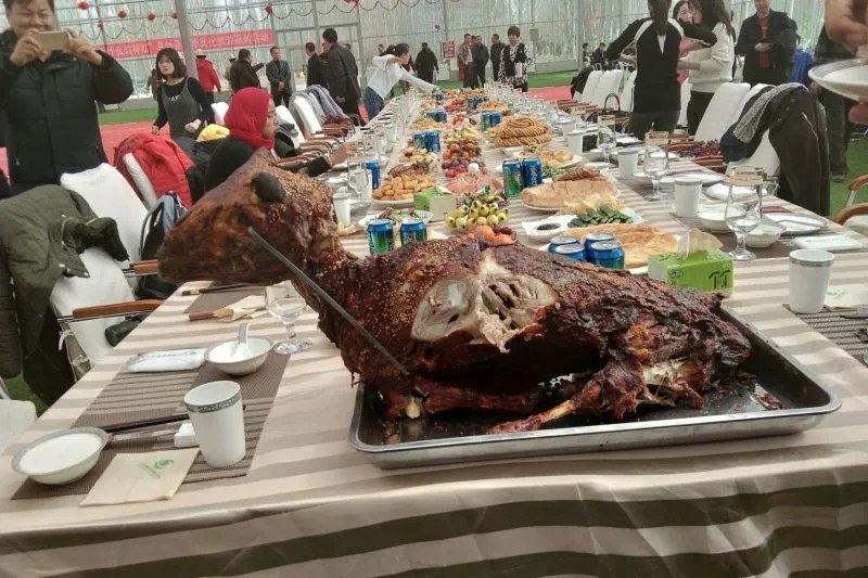 Penyebab rasa lelah dan mengantuk setelah makan besar . ANTARA/Sizuka