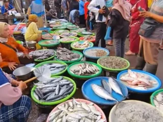 Halo bu !!! Cek sebelum membeli. Ada 10 ikan dengan kandungan merkuri tinggi