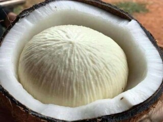 Manfaat luar biasa kentos kelapa, menjaga kesehatan jantung dan mengurangi stres