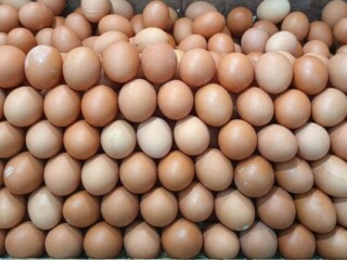 Ampuh turunkan berat badan, ini daftar 15 makanan tinggi protein