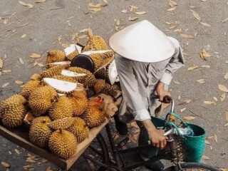 Kolaborasi ekonomi China-Vietnam menguat, durian jadi simbol diplomasi