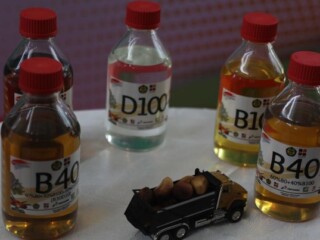 Per 1 Januari 2025, Indonesia siap pasarkan BBM campuran 40 persen minyak sawit